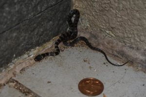 Thumbnail of post image 034