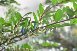 Thumbnail of post image 116