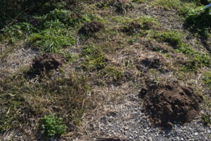 Thumbnail of post image 083