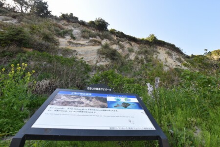 大海の褶曲構造