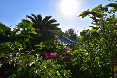 灯台周辺の景色