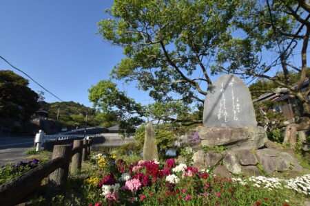 姫島七不思議
逆柳