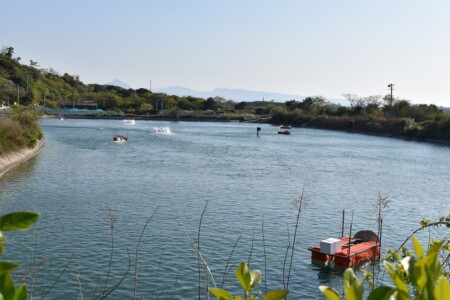 車海老
養殖の様子