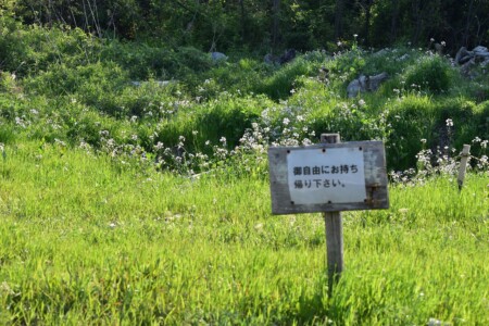 ご自由にお取りください
(。´・ω・)ん? なにを??