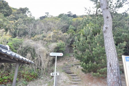 観音崎の登山道入り口
(時間が無く、いけませんでした)