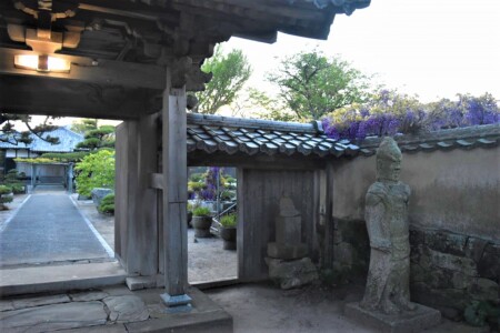 ふじの花と神社