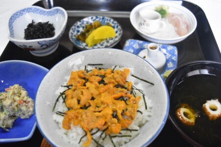 生ウニ定食