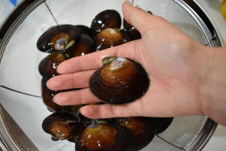 イソシジミ調理前!大きい~(・o・)