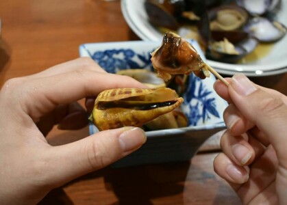 巻き貝と同じ方向に回しながら引っ張り出します。