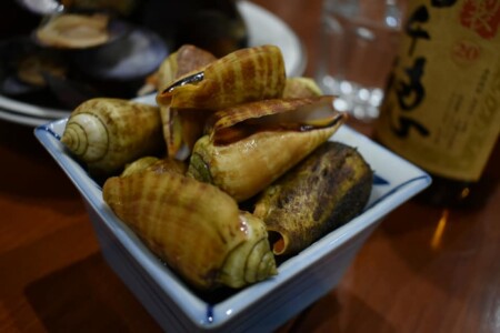 ハシリ貝(チャンバラ貝)の煮付け