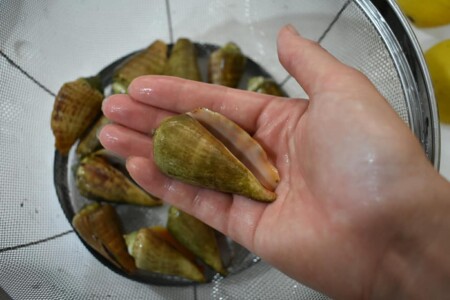 ハシリ貝調理前!これも結構大きい!
高知で食べたの時のより3倍くらいの大きさ!